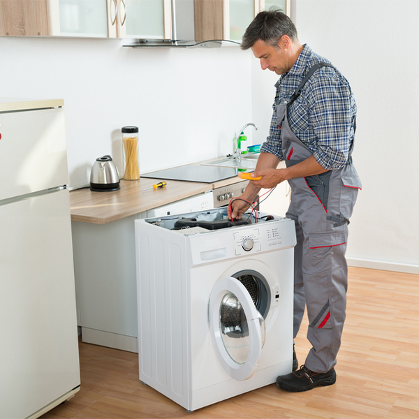 what are common issues that can arise with a washer in Branch Michigan